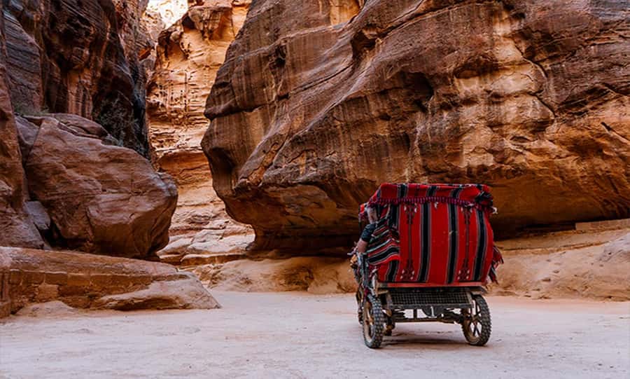 From Amman: Private Petra Day Trip with Guide - Entering Petra through the 1.2-kilometer Siq
