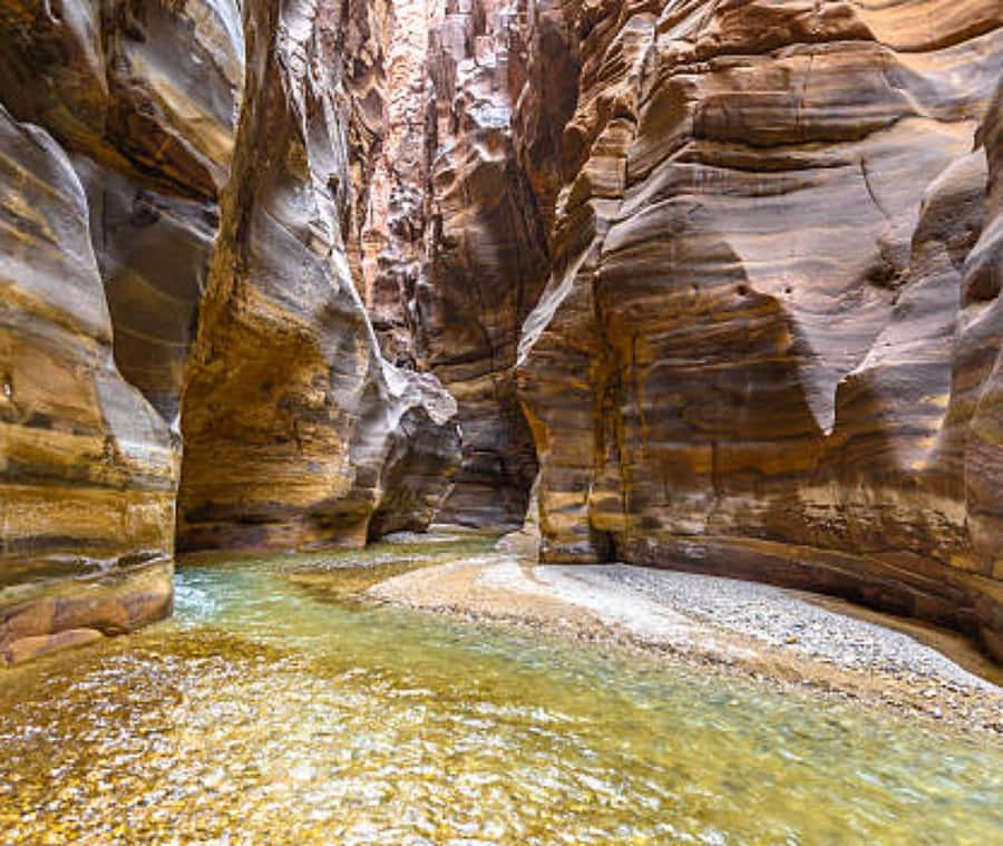 From Amman:To Al-Mujib Canyon & Dead Sea Salt Beach Day Trip - Floating at the Dead Sea