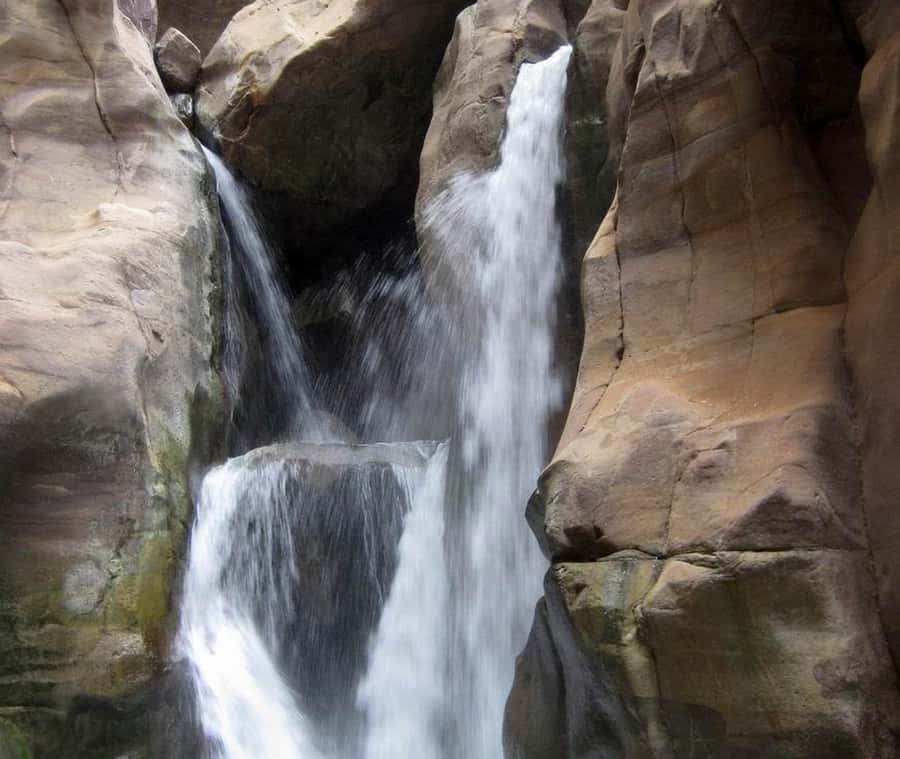 From Amman:To Al-Mujib Canyon & Dead Sea Salt Beach Day Trip - Is the resort add-on worth paying for?