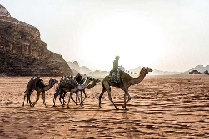 From Amman to Petra and Wadi rum ( Private two days) - The driver can make or break a short Jordan trip
