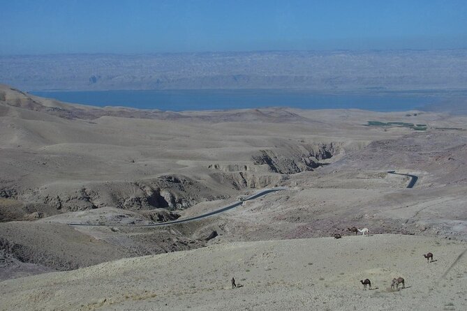 From Amman to West ( Madaba, Mt Nebo, baptism site and dead sea) - Booking Advice and Cancellation Terms