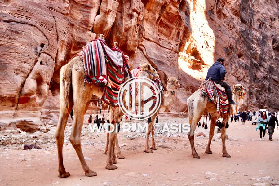 From Amman Visit Petra One Day Private Tour - Why This Amman to Petra Day Trip Makes Sense