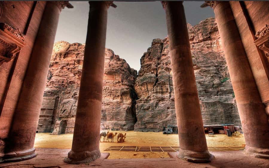From Amman Visit Petra One Day Private Tour - Al-Khazneh, Tombs, and the Main Petra Route