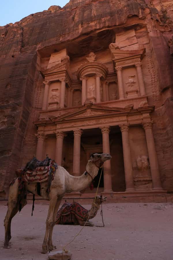 From Amman Visit Petra One Day Private Tour - Is $89 Per Person Good Value?