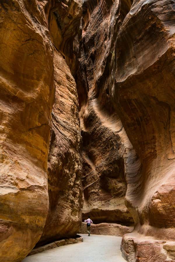 From Amman Visit Petra One Day Private Tour - Timing, Cancellation, and Practical Details
