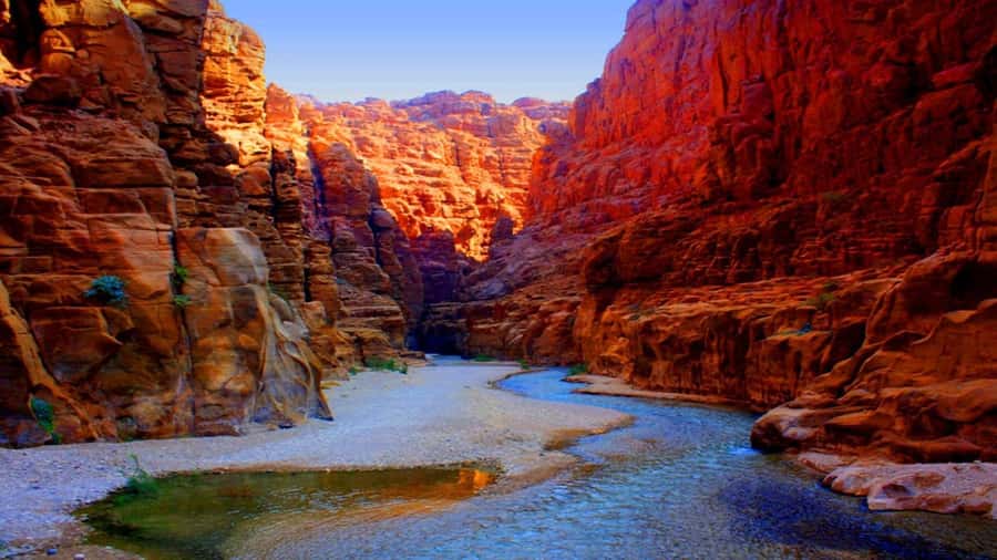 From Amman: Wadi Mujib Siq Trail Private Hiking Tour - Key points before you book
