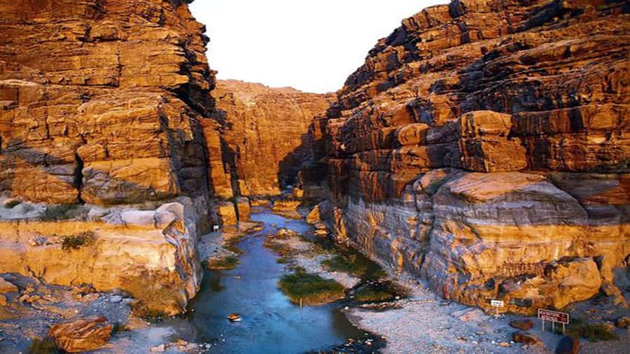 From Amman: Wadi Mujib Siq Trail Private Hiking Tour - The 8:00 am departure from Amman