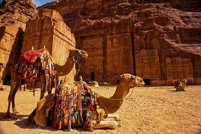 From Aqaba a Day Excursion to Petra - Key points to know before booking