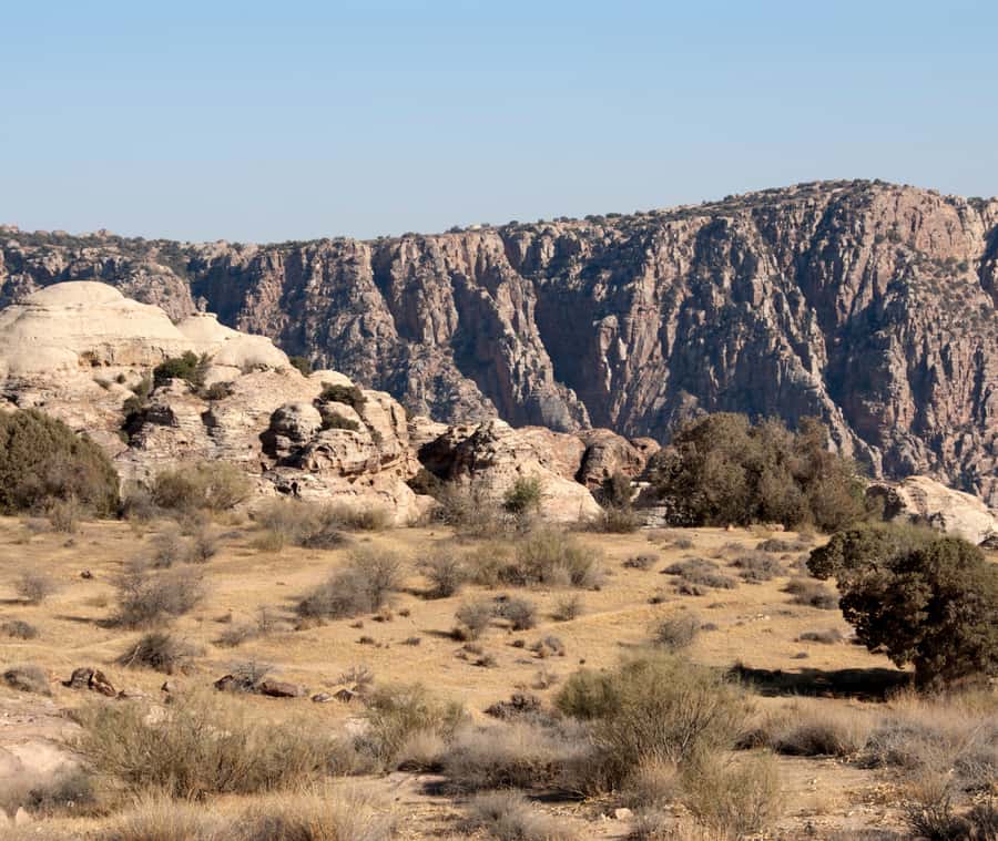 From Aqaba: Dana Nature Reserve Private Day Trip with Lunch - Key points to know before booking
