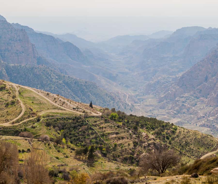 From Aqaba: Dana Nature Reserve Private Day Trip with Lunch - The private car makes the long transfer easier