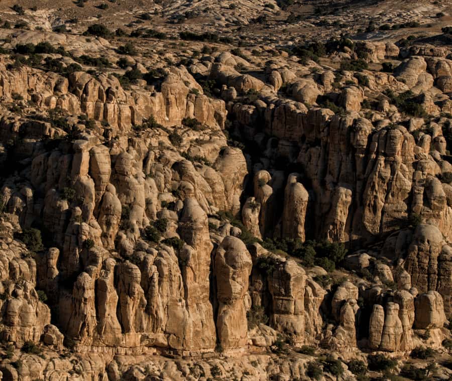 From Aqaba: Dana Nature Reserve Private Day Trip with Lunch - Meals keep the schedule moving