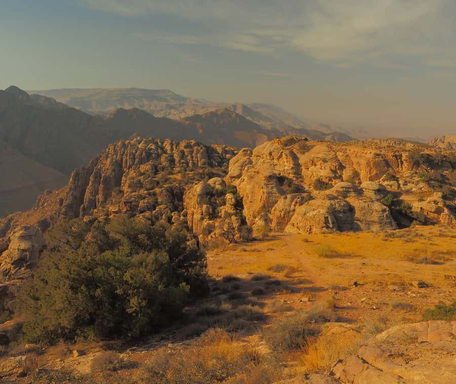 From Aqaba: Dana Nature Reserve Private Day Trip with Lunch - Who will get the most from this experience