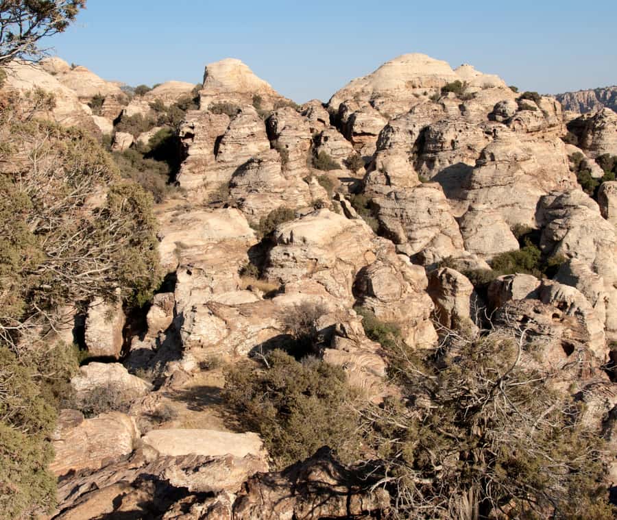 From Aqaba: Dana Nature Reserve Private Day Trip with Lunch - Dana Nature Reserve: scenery with room to breathe