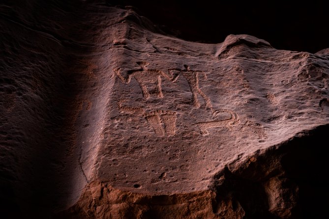 From Aqaba: Wadi Rum Desert Tour with taxi transfers from Aqaba - Who should book this Wadi Rum trip?