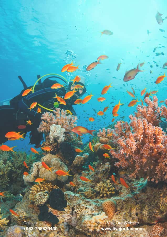 From Aqaba: Water Sports Activity - Staff service and the human side