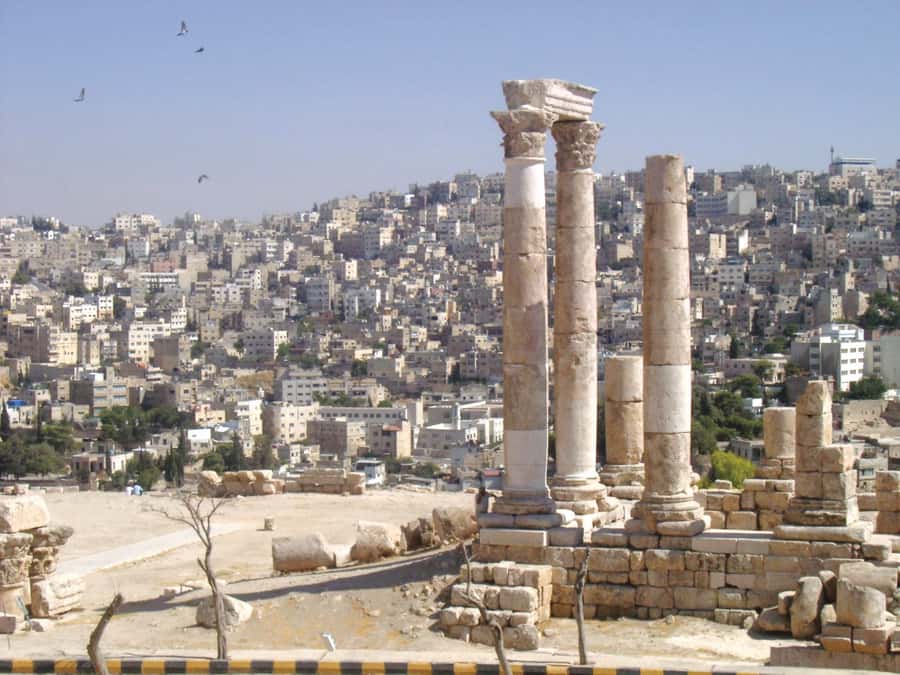From Dead Sea :Jerash and Amman Private Full Day Tour - Who should book this private day
