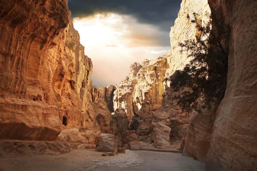 From Eilat: Petra Day Private Tour - What You Are Really Buying for $449