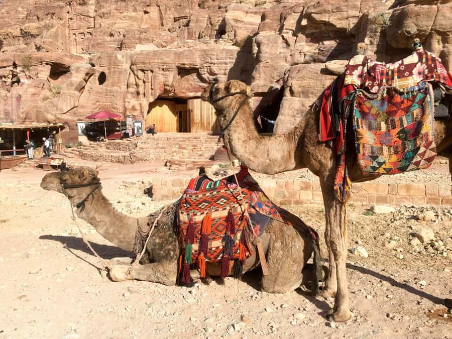 From Eilat: Petra Full-Day Guided Tour with Transfers - The return toward Aqaba and Wadi Rum views