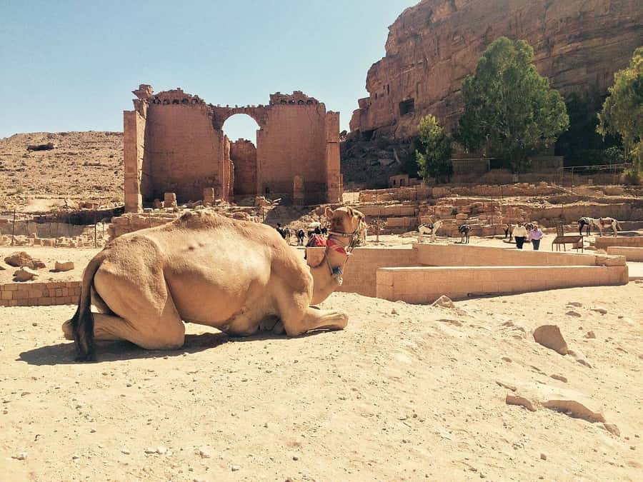 From Jerusalem: 2-Day Tour of Petra + FREE Traditional lunch - The Great Temple, Byzantine Church, and Qasr Al Bint