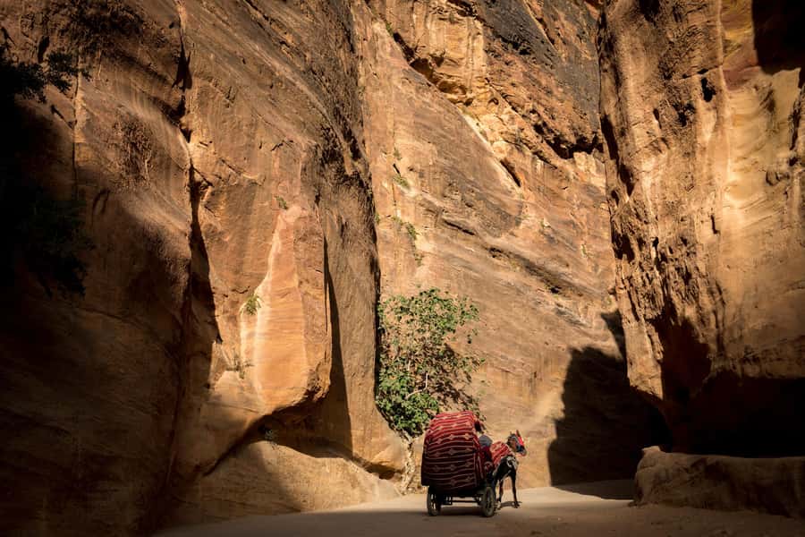 From Jerusalem: Petra 2-Day Tour - Madaba’s mosaic rewards close attention