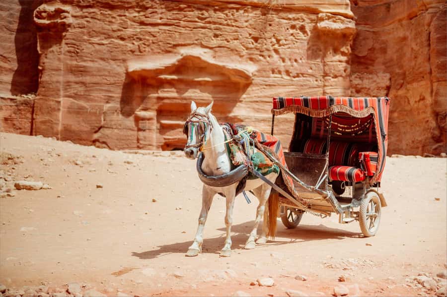 From Tel Aviv: Petra 1-Day Guided Tour with Transfers - Who should choose this tour?