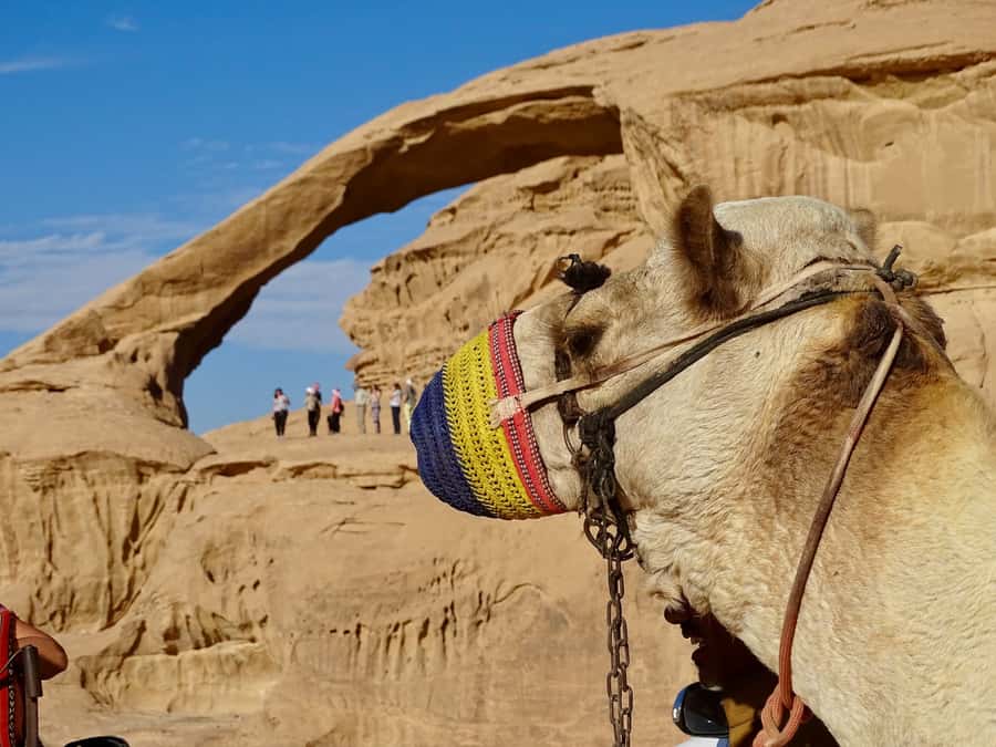 From Tel Aviv: Petra & Wadi Rum Glamping 2-Day Tour - Who should book this two-day trip?
