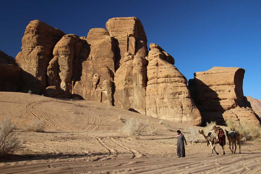 From Wadi Rum: Camel Ride Experience with Tea and Guide - Bedouin tea and a closer look at local life