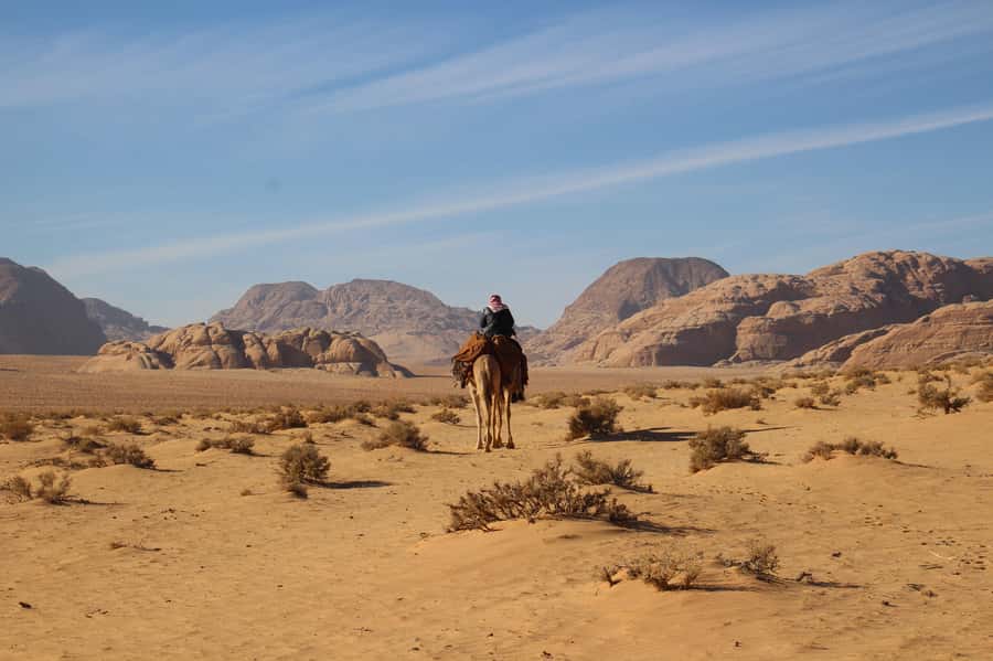 From Wadi Rum: Camel Ride Experience with Tea and Guide - Comfort, safety, and who should skip it