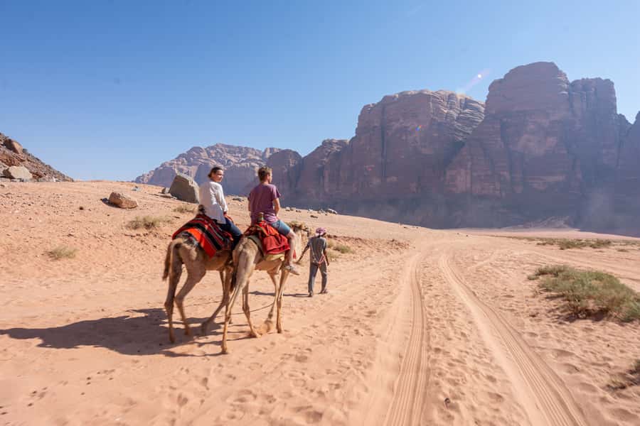 From Wadi Rum: Camel Ride Experience with Tea and Guide - Meeting at Wadi Rum Rest House