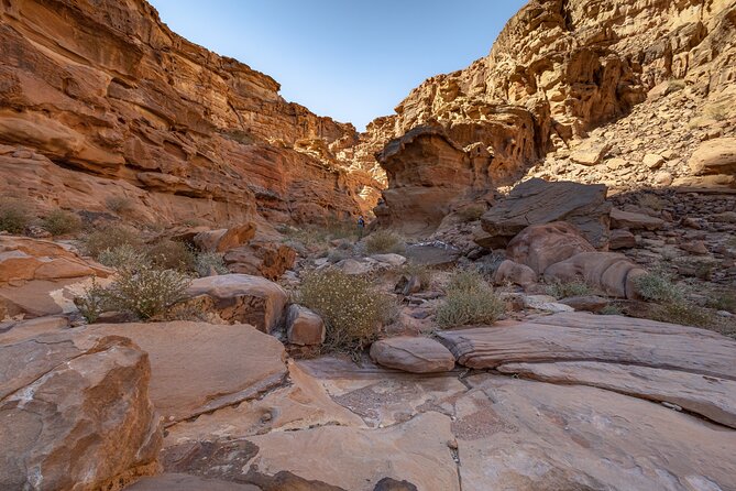 Full-Day 8 Hour Jeep Tour into Wadi Rum Protected Area with Stay - Sunset tea at Um Sabatah