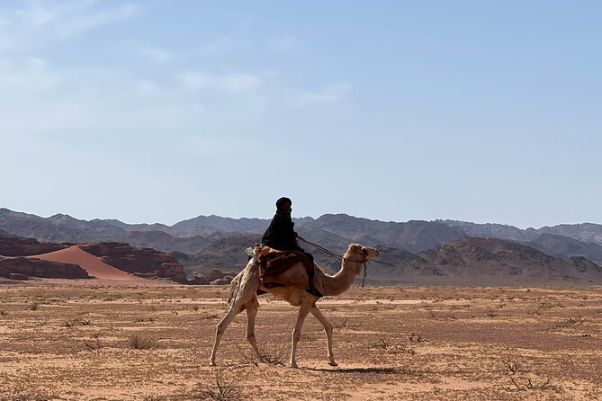 Full-Day Hiking in Wadi Rum's Desert with Lunch - Khazali Canyon and its old inscriptions