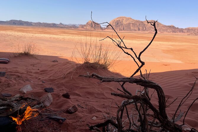 Full-Day Hiking in Wadi Rum's Desert with Lunch - Is $70 a fair price?