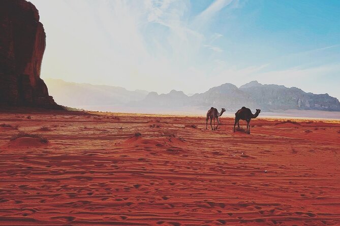 Full Day Jeep and Camel Tour - Um Frouth Rock Arch and a short climb