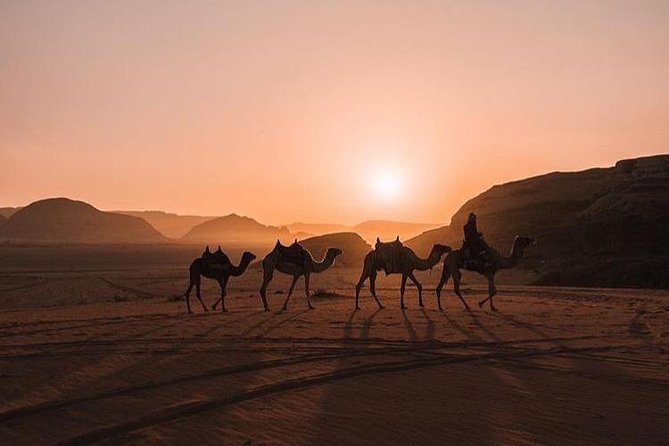 Full Day Jeep Tour with Overnight in beduin Camp Stay! (All Meals Included) - Starting at Wadi Rum Village at 10:00 am