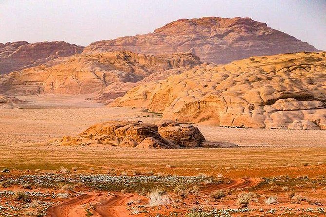 Full Day Jeep Tour with Overnight in beduin Camp Stay! (All Meals Included) - Lawrence’s Spring and the first taste of desert life