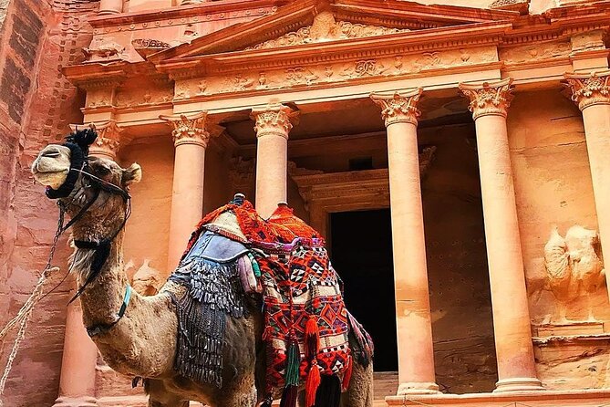 Full Day Petra and Wadi Rum Tour from Amman - Why this Petra and Wadi Rum combination works