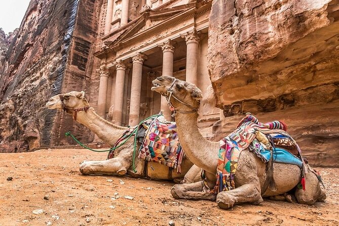 Full Day Petra and Wadi Rum Tour from Amman - Sunset in the Valley of the Moon