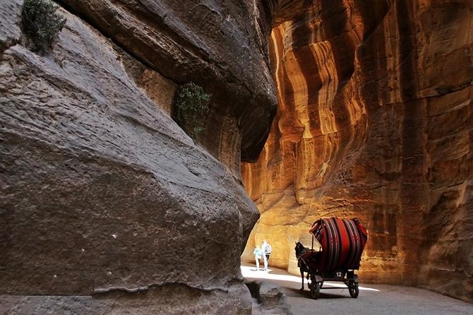 Full-Day Petra Tour from Dead Sea - The early pickup and the road to Wadi Musa