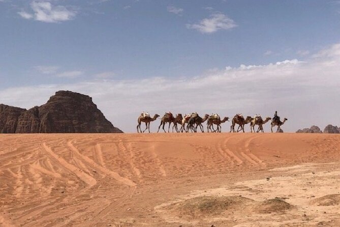 Full-Day Private Tour in Petra with Hotel Pick-Up - Who Will Like This Tour Most