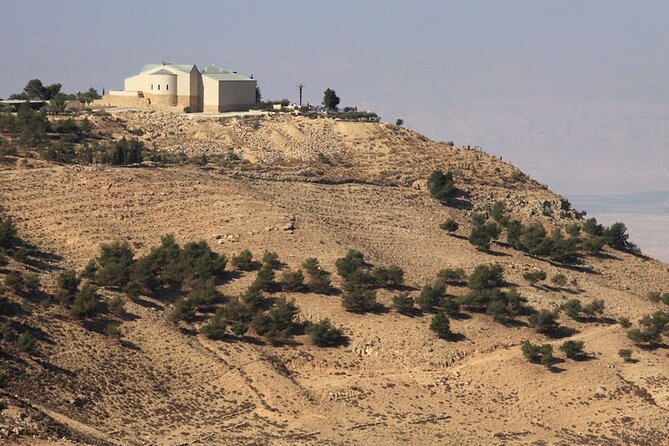 Full-Day Private Tour to Madaba, Mount Nebo and Dead Sea - What the driver adds to the day