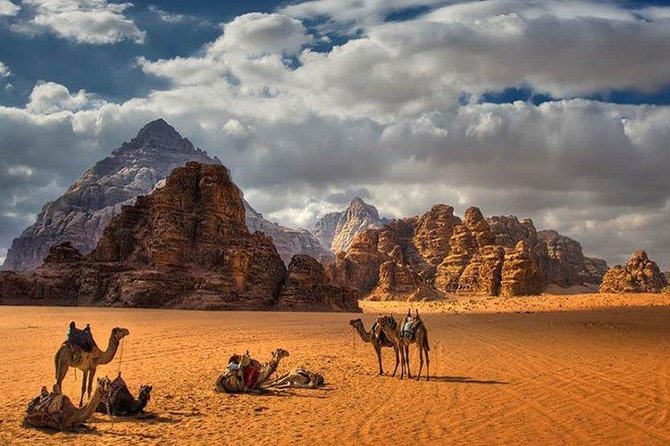 Full-Day Private Trip To Petra, Wadi Rum - The cost and what you actually get