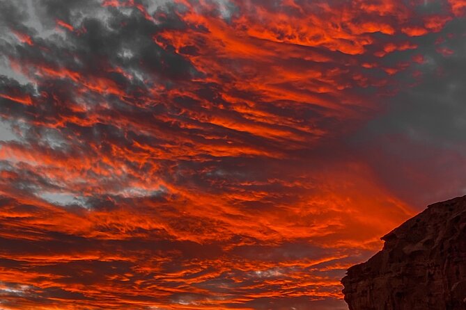 Full-Day Tour In Wadi Rum Desert - What makes this Wadi Rum trip worth considering