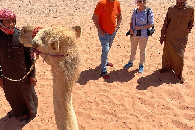 Full Day Tour Petra and Wadi Rum from Amman - Why the private format matters