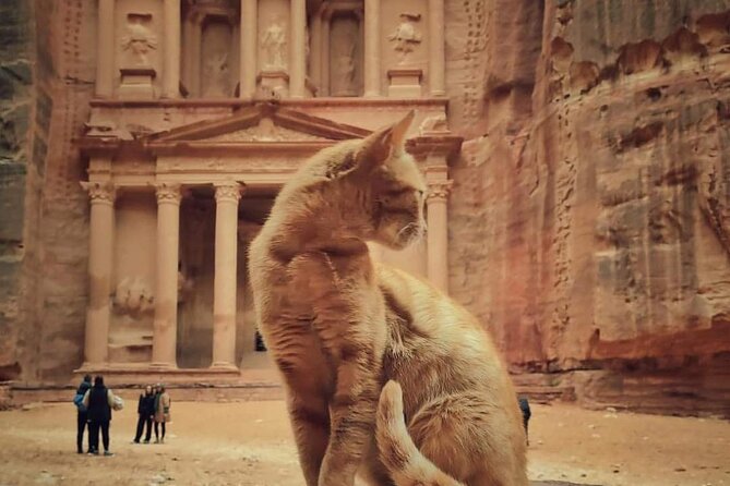 Full Day Tour Petra and wadi rum from Amman or Dead sea - One day from Amman or the Dead Sea