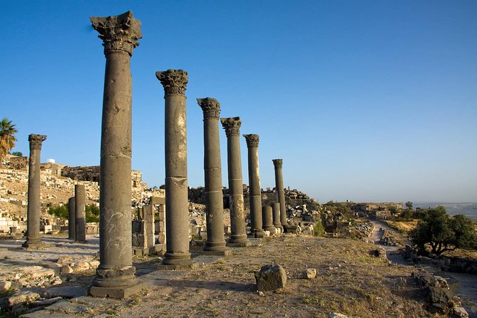Full-Day Tour: Umm Qais, Jerash, and Ajloun from Amman - Why this northern Jordan route is worth your time