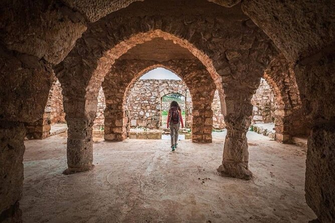 Full Day Umm Qais, Ajloun & Jerash - Is $99.99 a fair price?