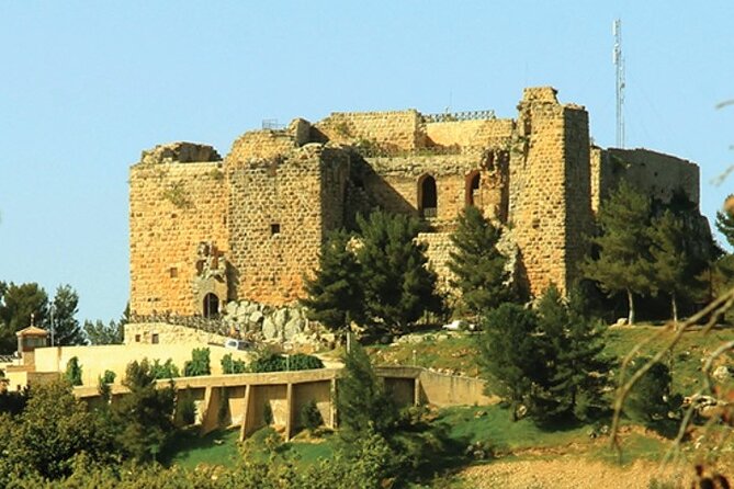 Full Day Umm Qais, Ajloun & Jerash - Who will like this tour most?