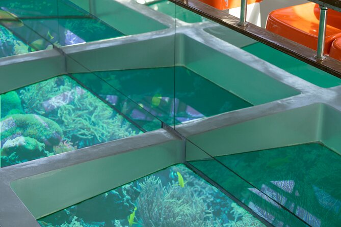 Glass-Bottom Boat 2-hours Tour and Coral-Reef Viewing from Aqaba - Who will enjoy this Aqaba cruise most?