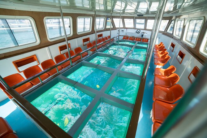 Glass-Bottom Boat 2-hours Tour and Coral-Reef Viewing from Aqaba - Glass-bottom views of coral, fish, and wrecks