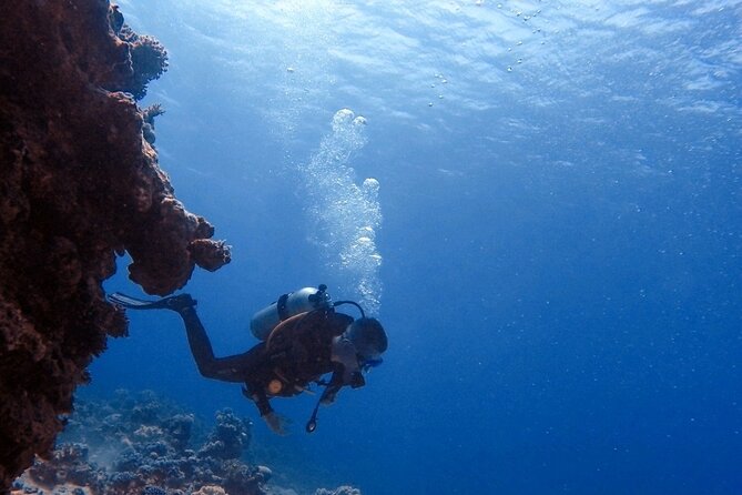 Guided Scuba Diving Adventure in Aqaba - Why Aqaba is a good place to try scuba
